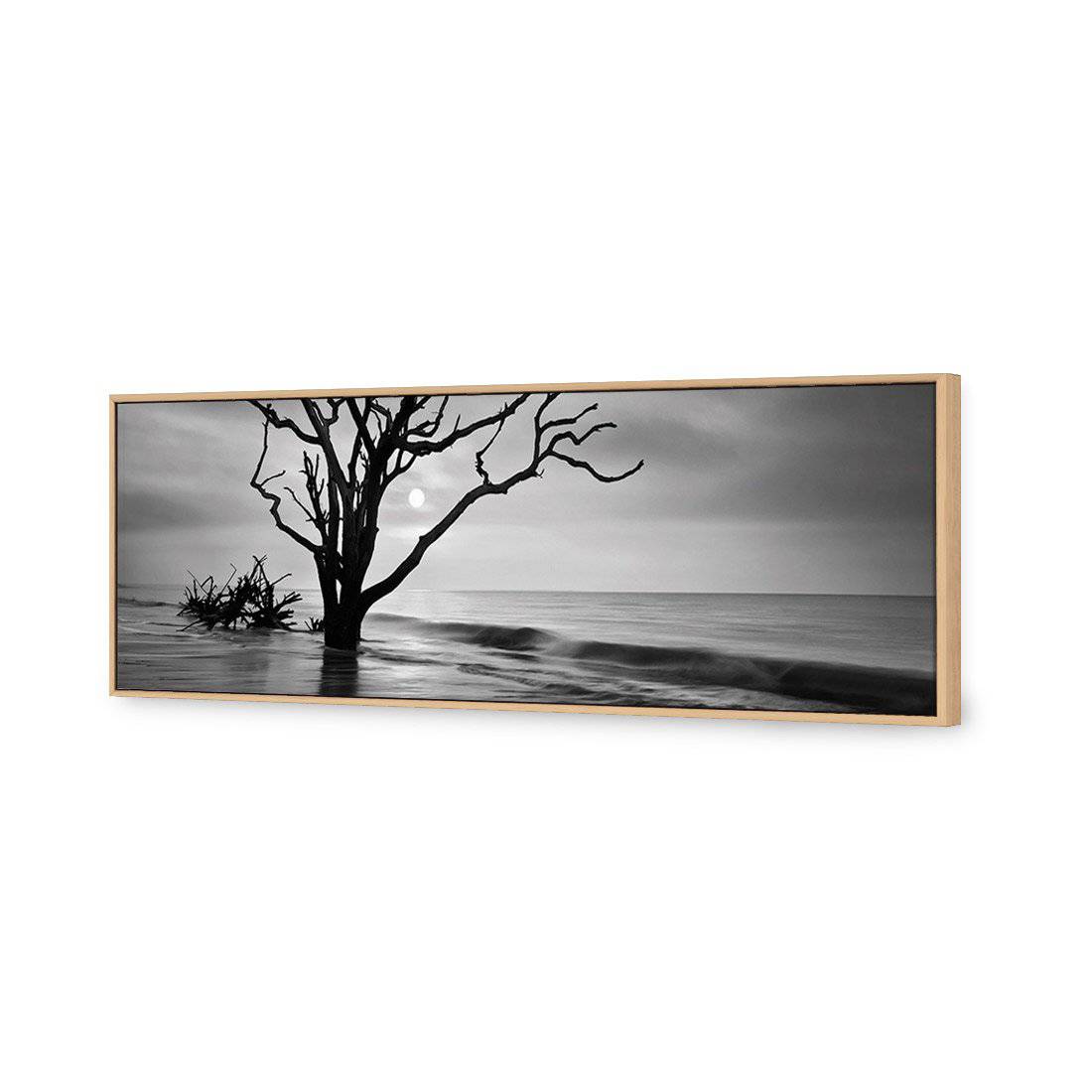 Botany Bay Sunrise, B&W Canvas Art