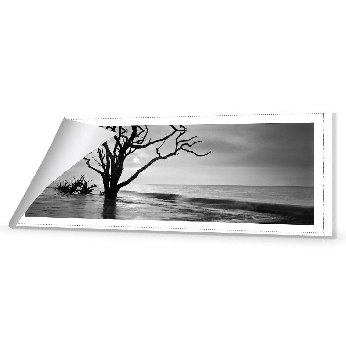 Botany Bay Sunrise, B&W Canvas Art