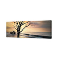 Botany Bay Sunrise (Long)