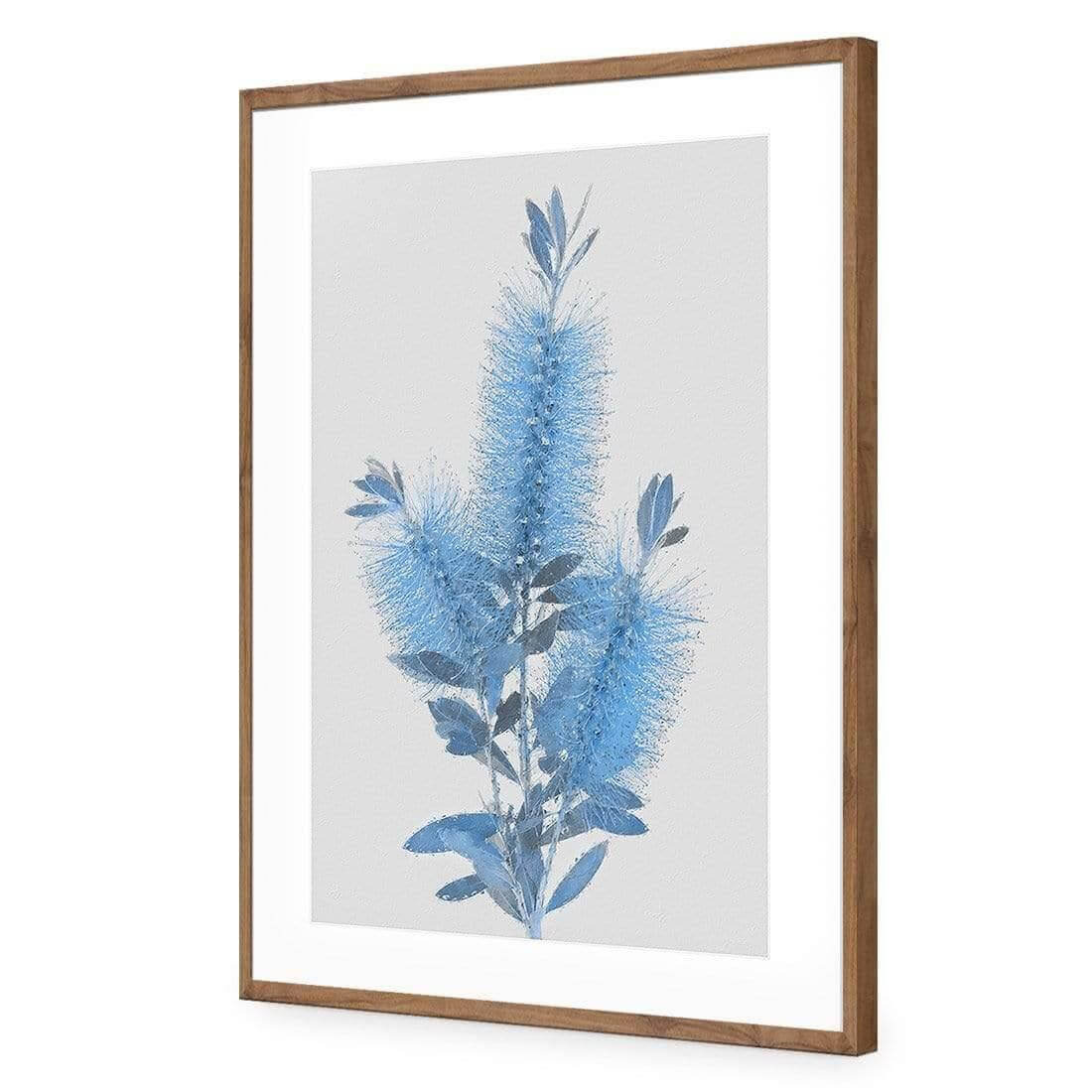 Bottlebrush Abstraction