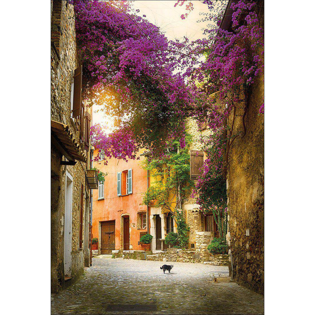 Bougainvillea Alley Canvas Art