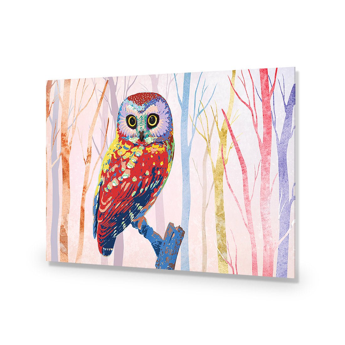Bright Wise Owl, Light Acrylic Print Art