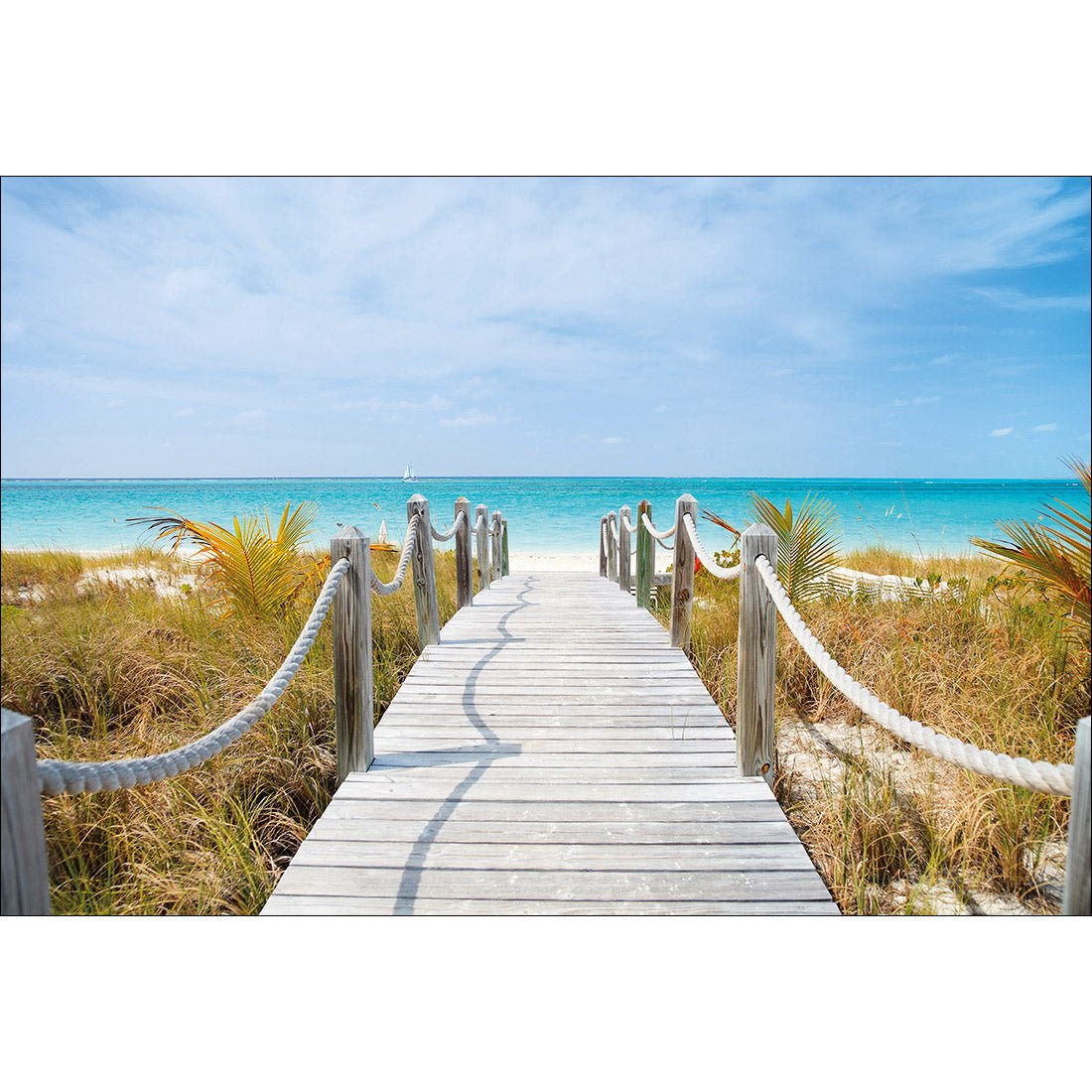 Caicos Island Acrylic Print Art