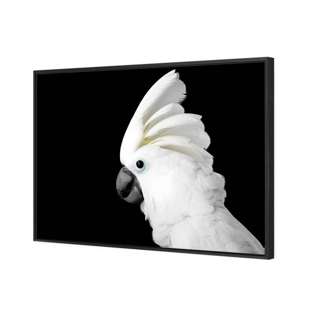 Cassie the Cockatoo Canvas Art
