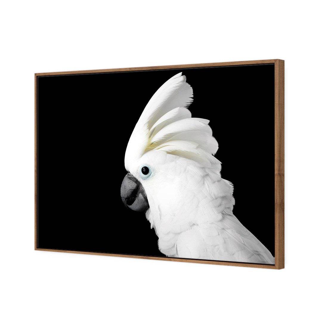 Cassie the Cockatoo Canvas Art