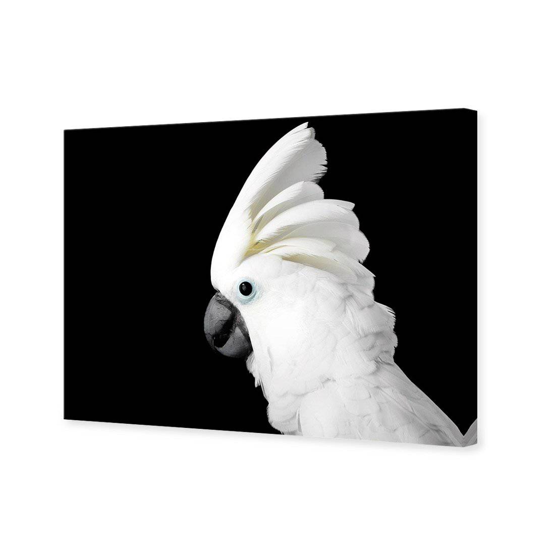 Cassie the Cockatoo Canvas Art