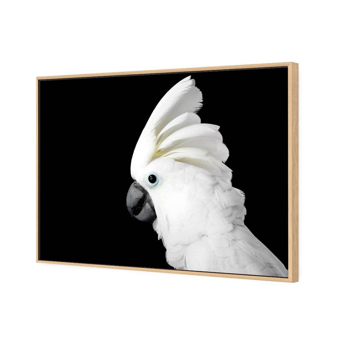 Cassie the Cockatoo Canvas Art