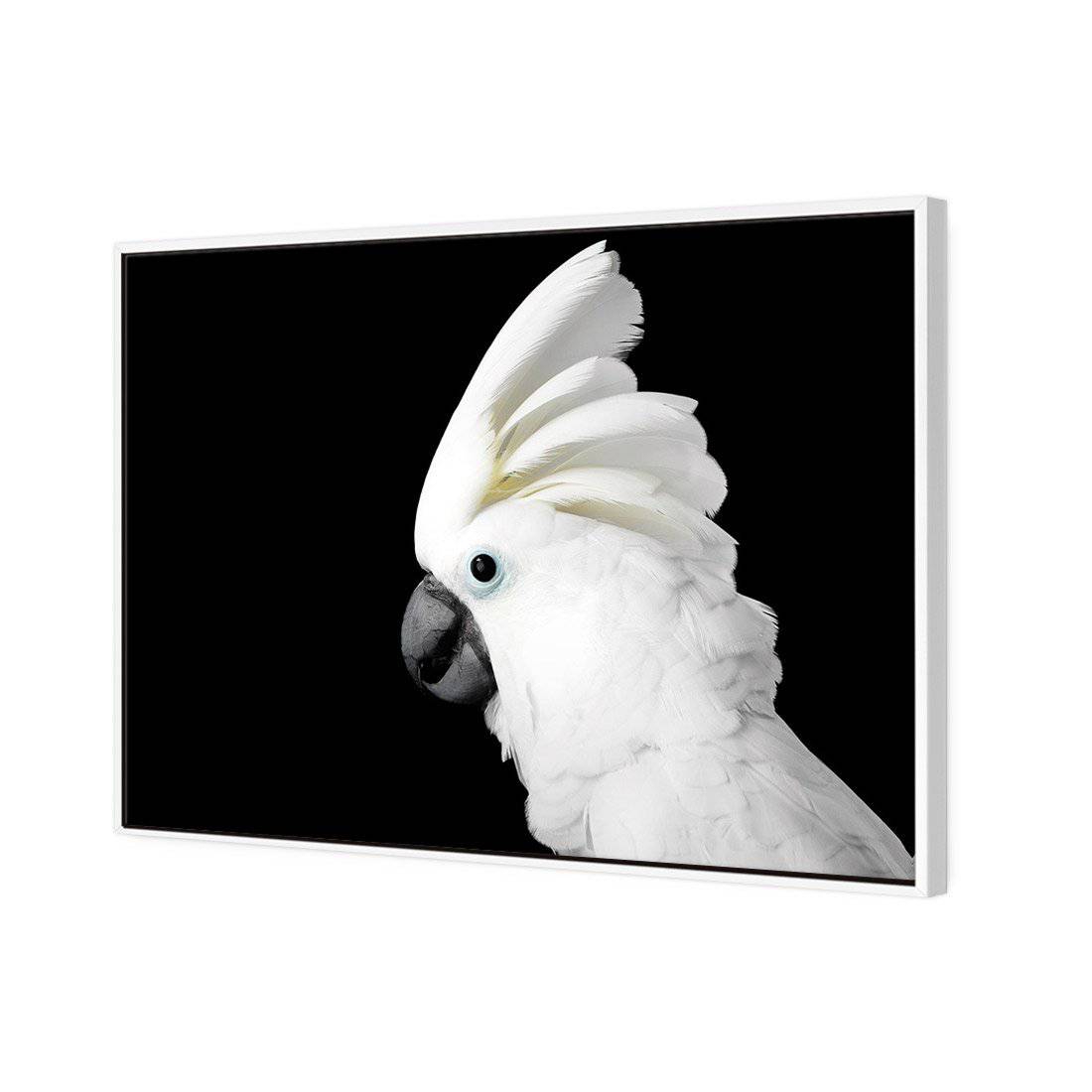Cassie the Cockatoo Canvas Art
