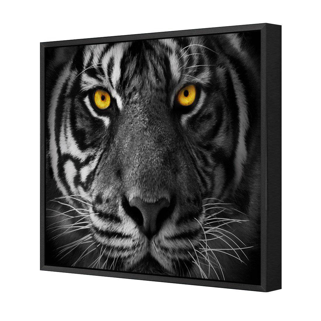 Cat Stare Canvas Art