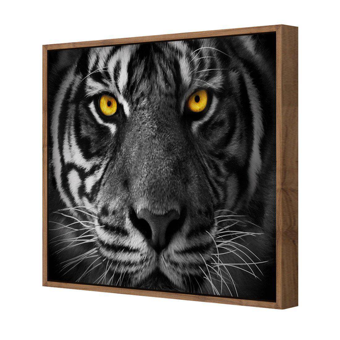 Cat Stare Canvas Art