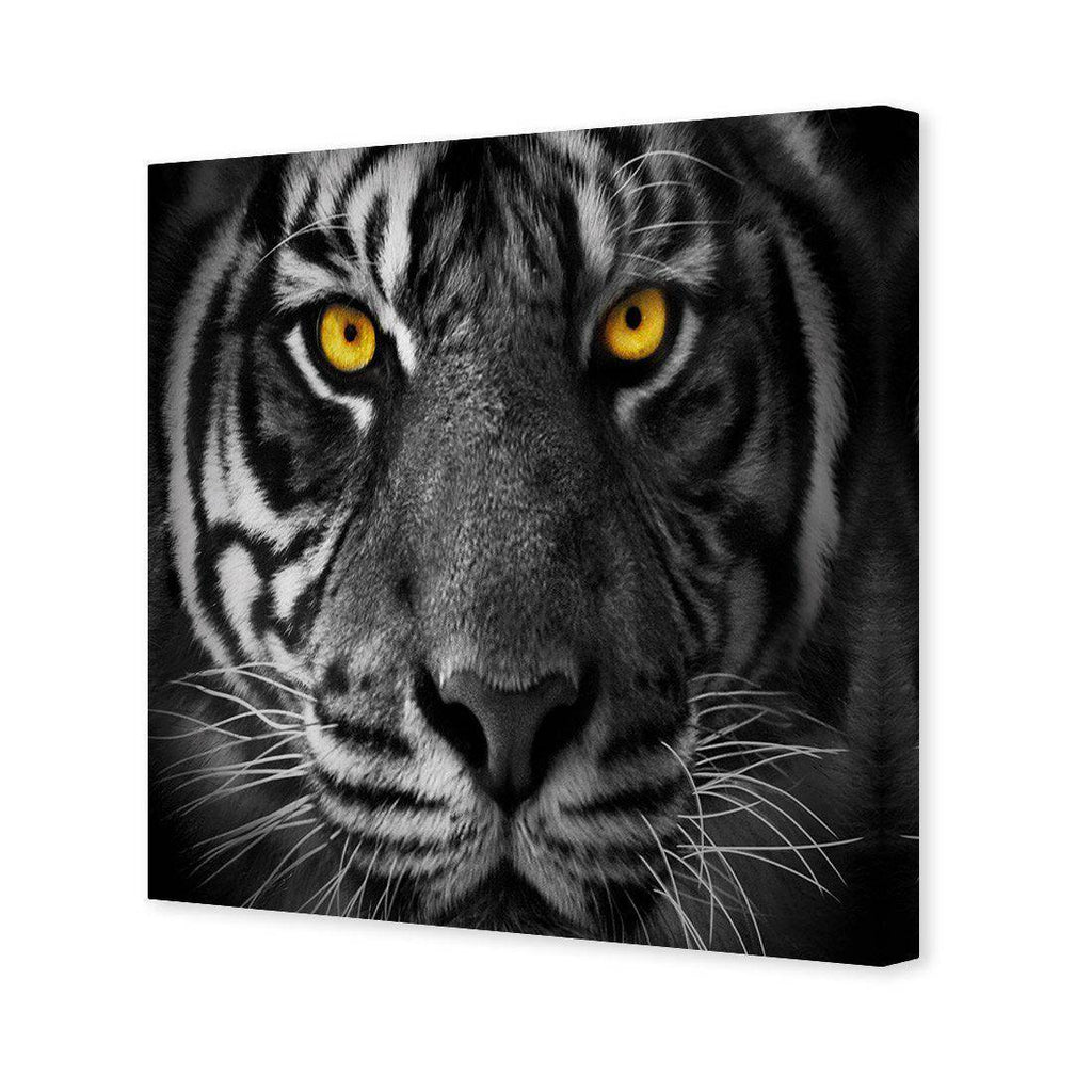 Cat Stare Canvas Art