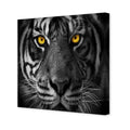 Cat Stare Canvas Art