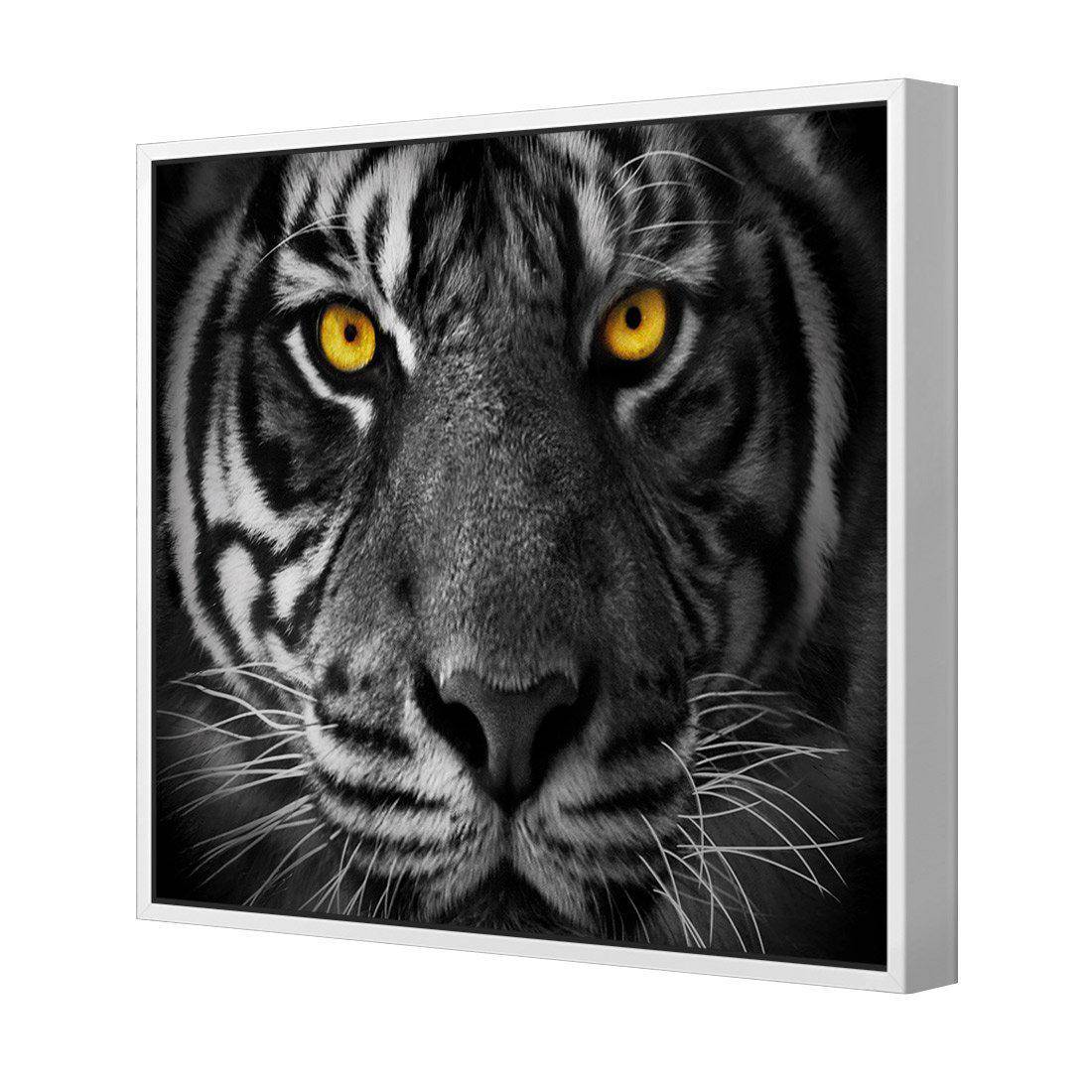 Cat Stare Canvas Art