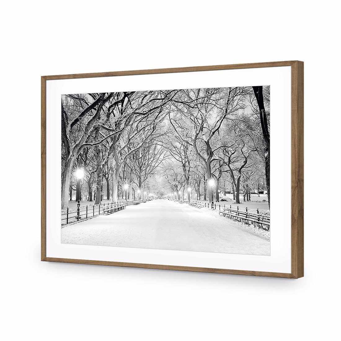 Central Park Dawn in Snow Acrylic Print Art