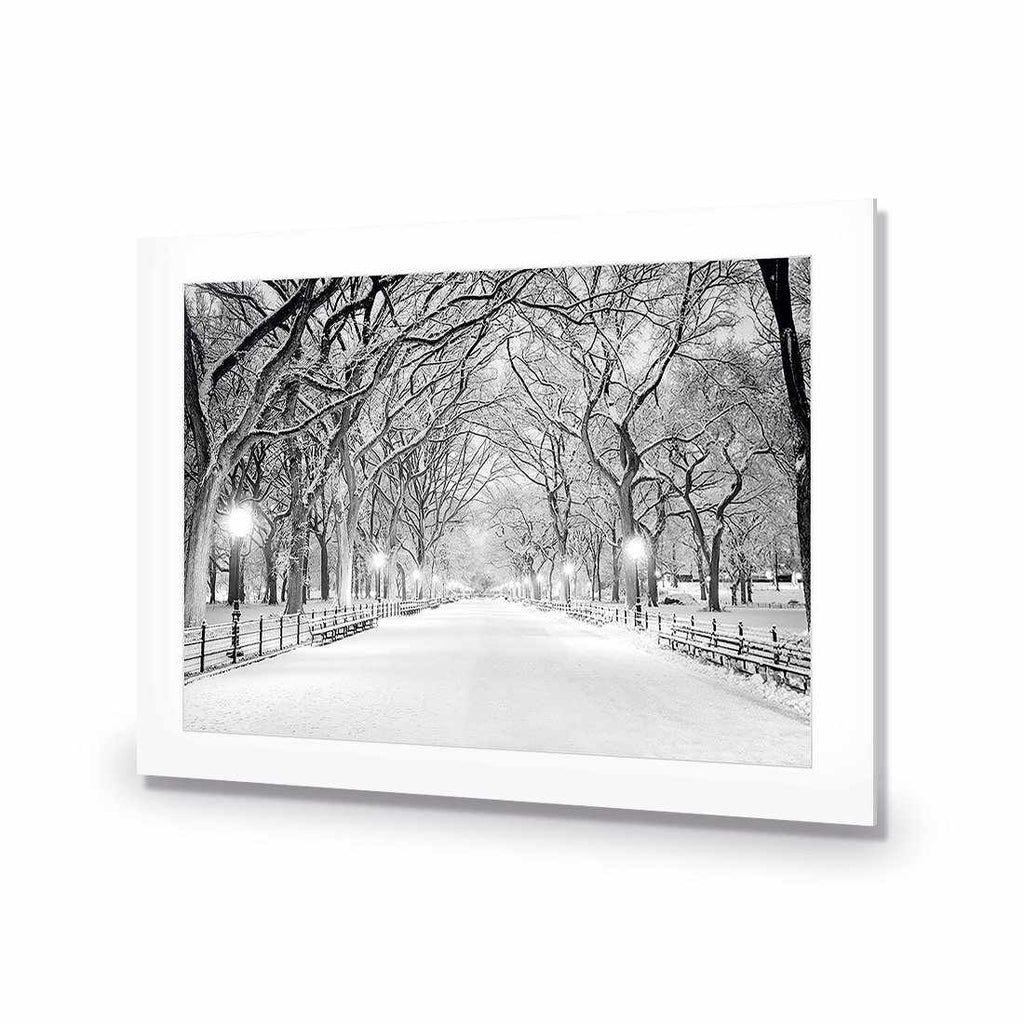 Central Park Dawn in Snow Acrylic Print Art