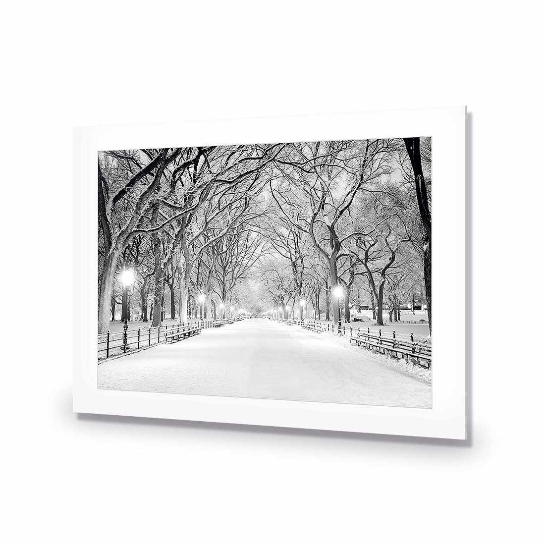 Central Park Dawn in Snow Acrylic Print Art