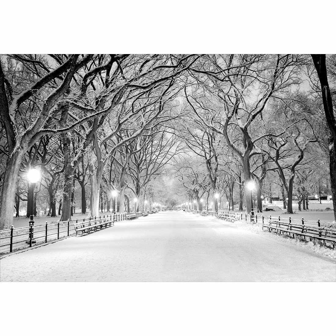 Central Park Dawn in Snow Acrylic Print Art