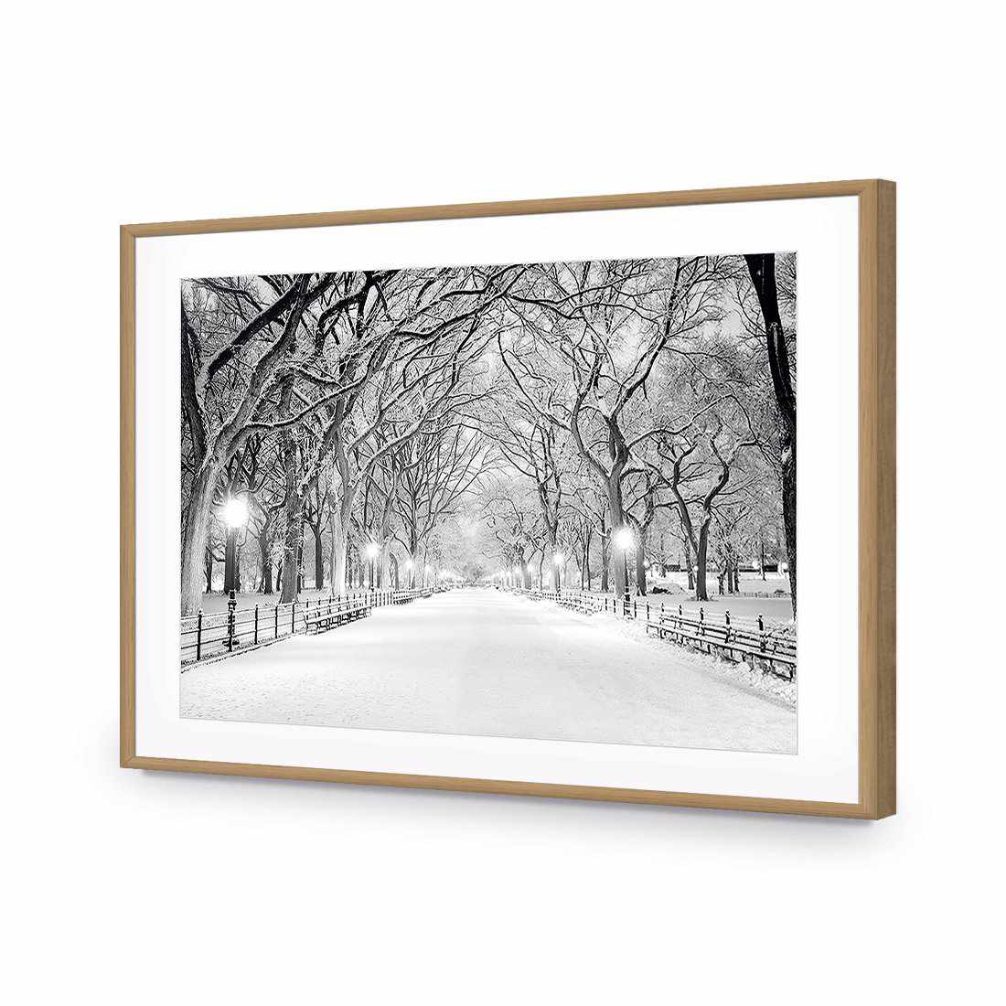 Central Park Dawn in Snow Acrylic Print Art