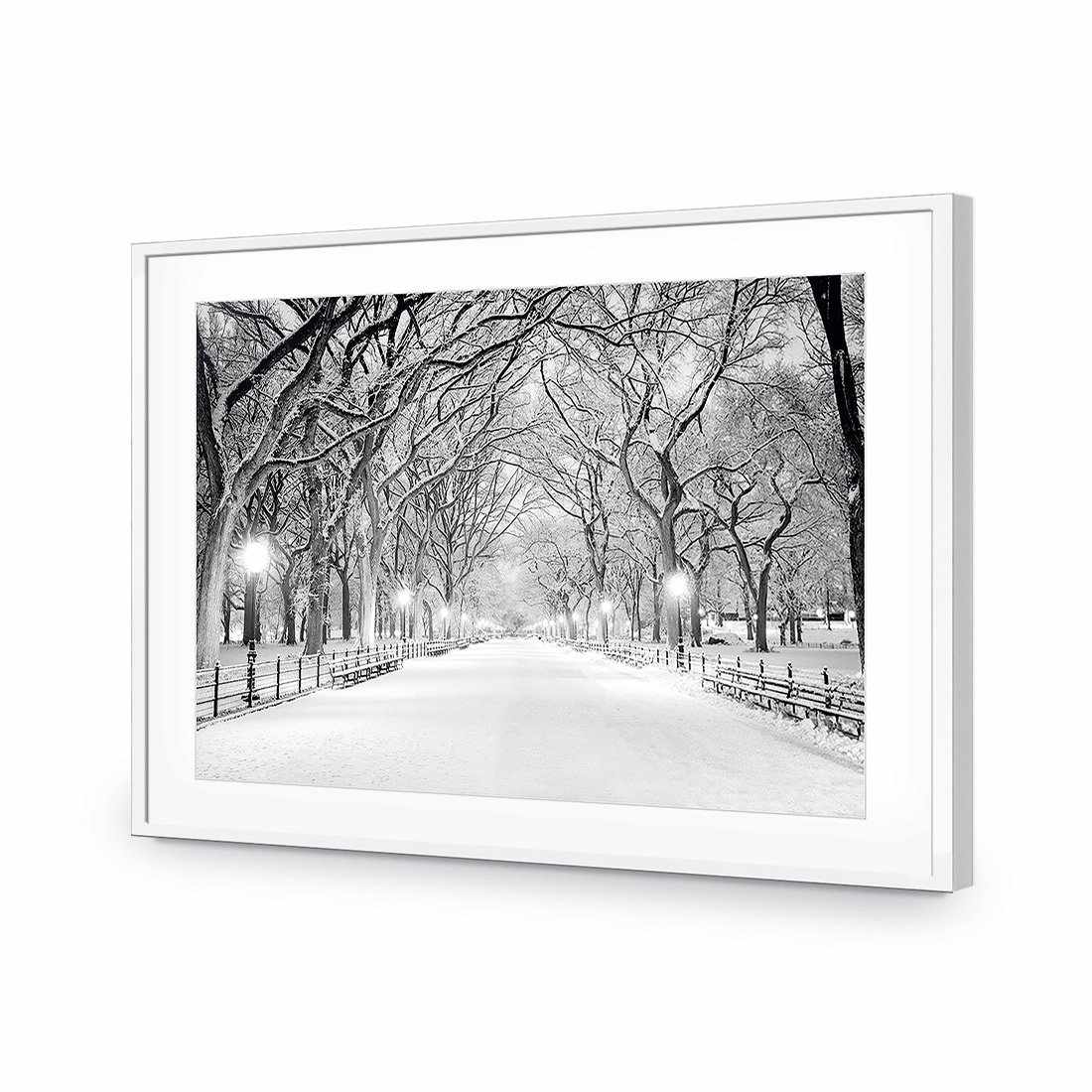 Central Park Dawn in Snow Acrylic Print Art