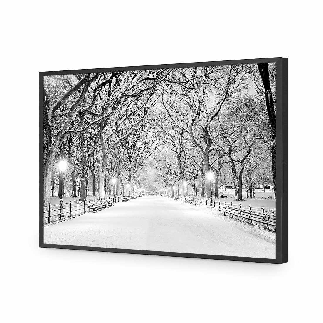 Central Park Dawn in Snow Acrylic Print Art