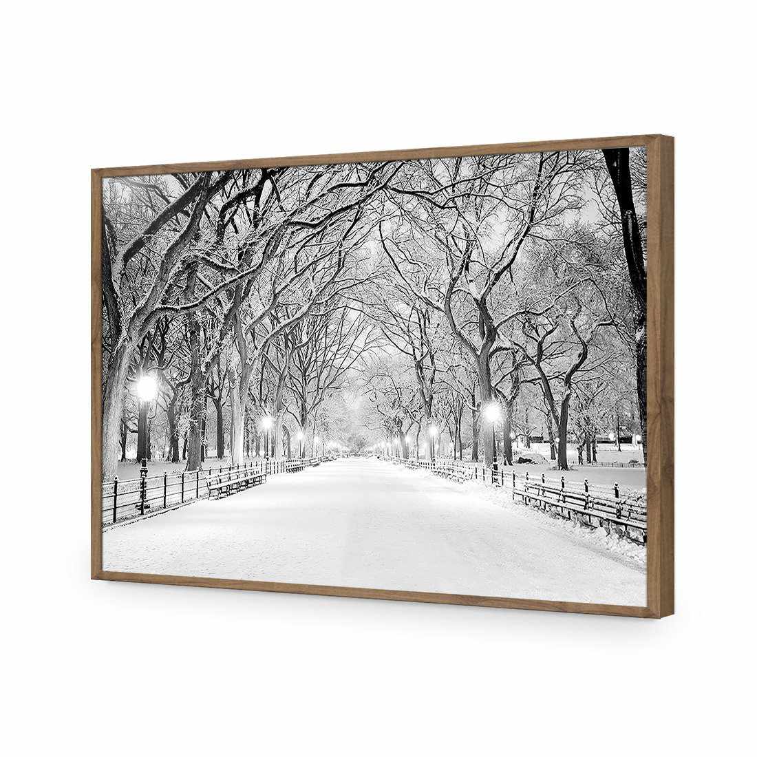 Central Park Dawn in Snow Acrylic Print Art