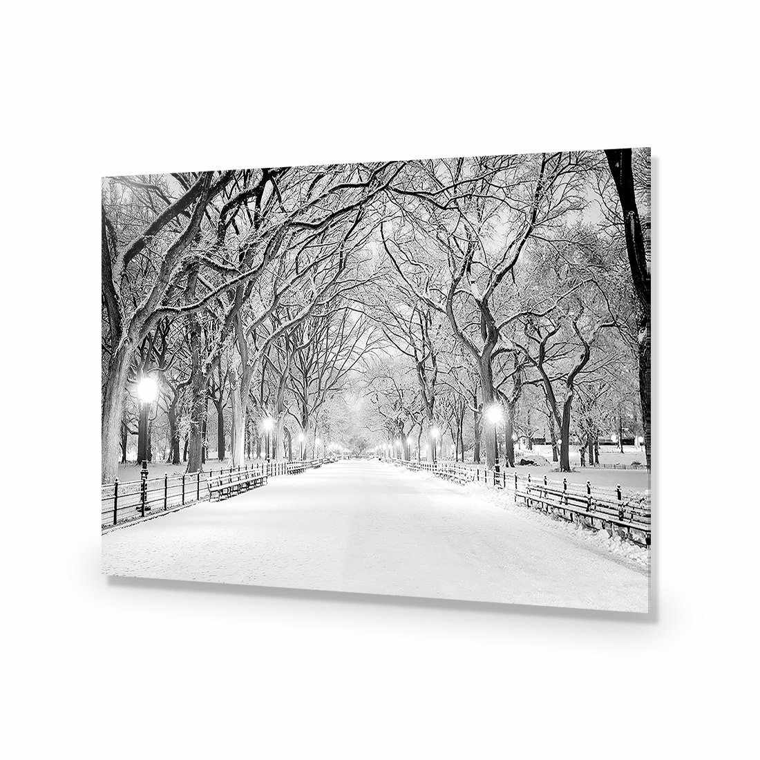Central Park Dawn in Snow Acrylic Print Art