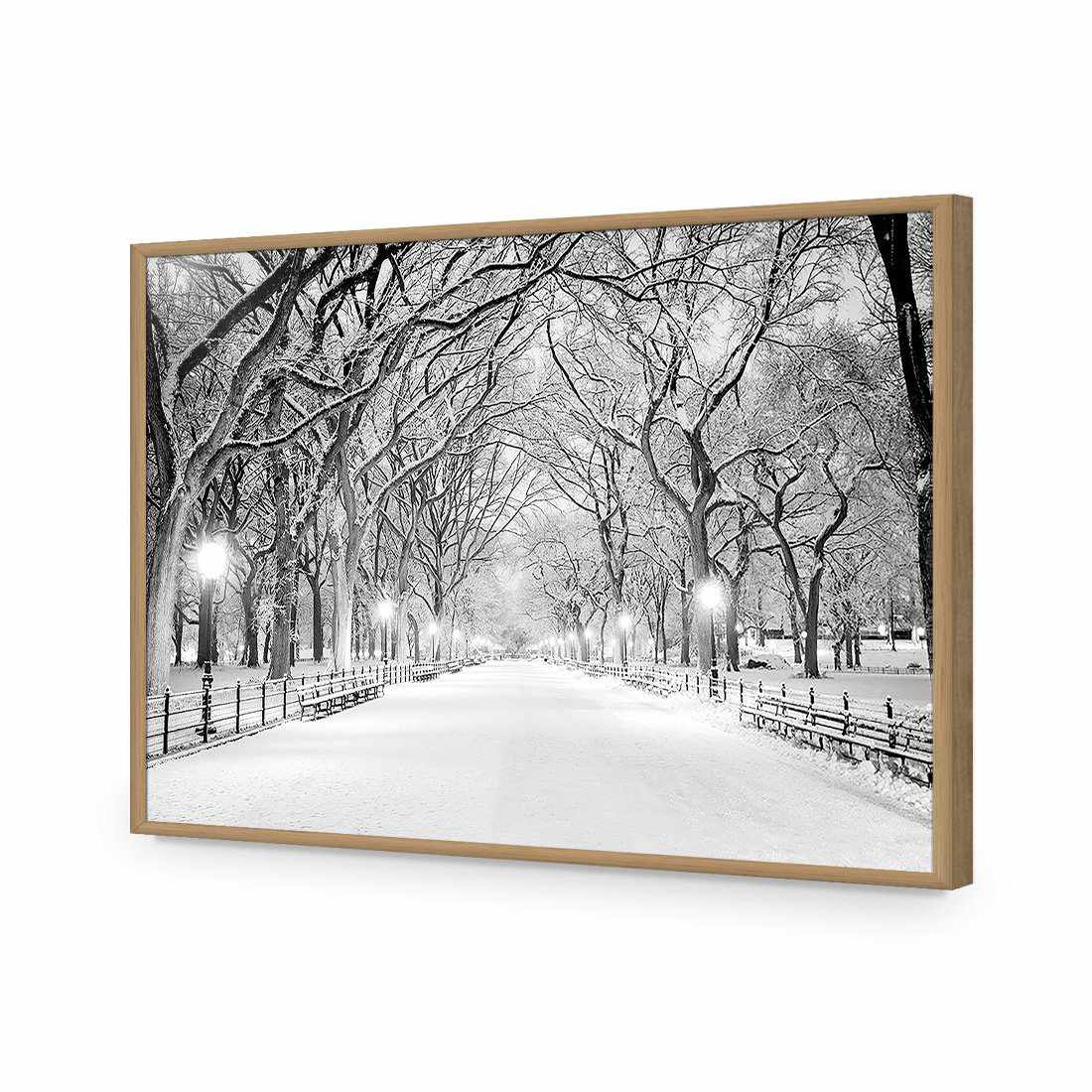 Central Park Dawn in Snow Acrylic Print Art