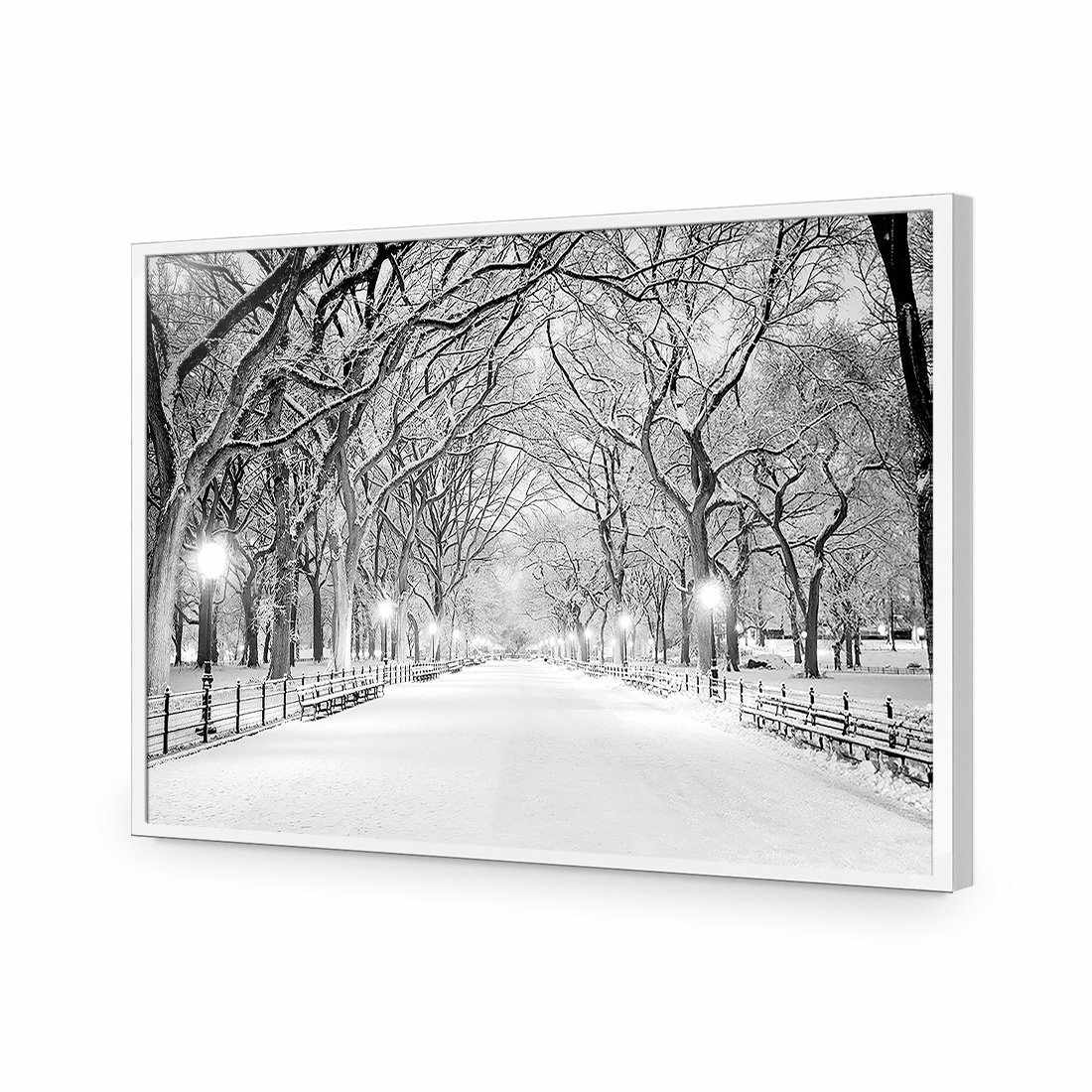 Central Park Dawn in Snow Acrylic Print Art