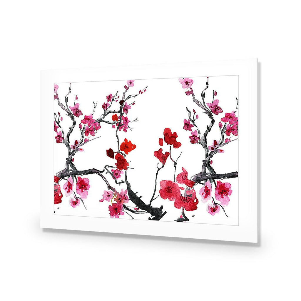 Cherry Blossom Acrylic Print Art