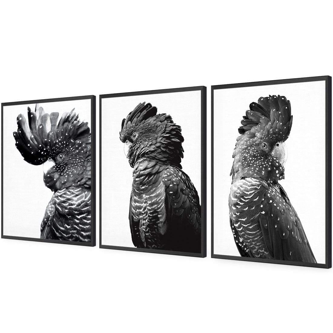 Cockatoos Trio, B&W Art Set