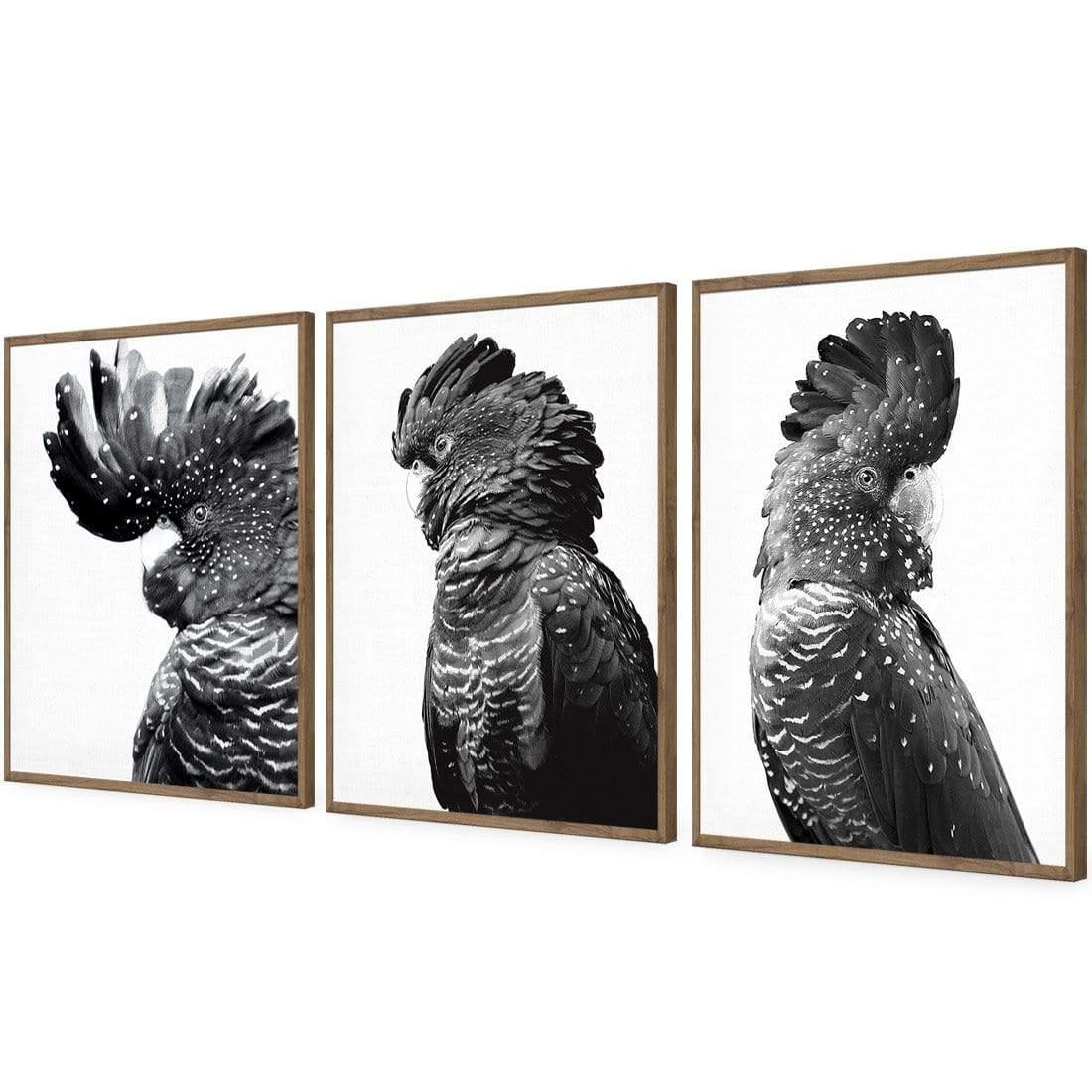 Cockatoos Trio, B&W Art Set