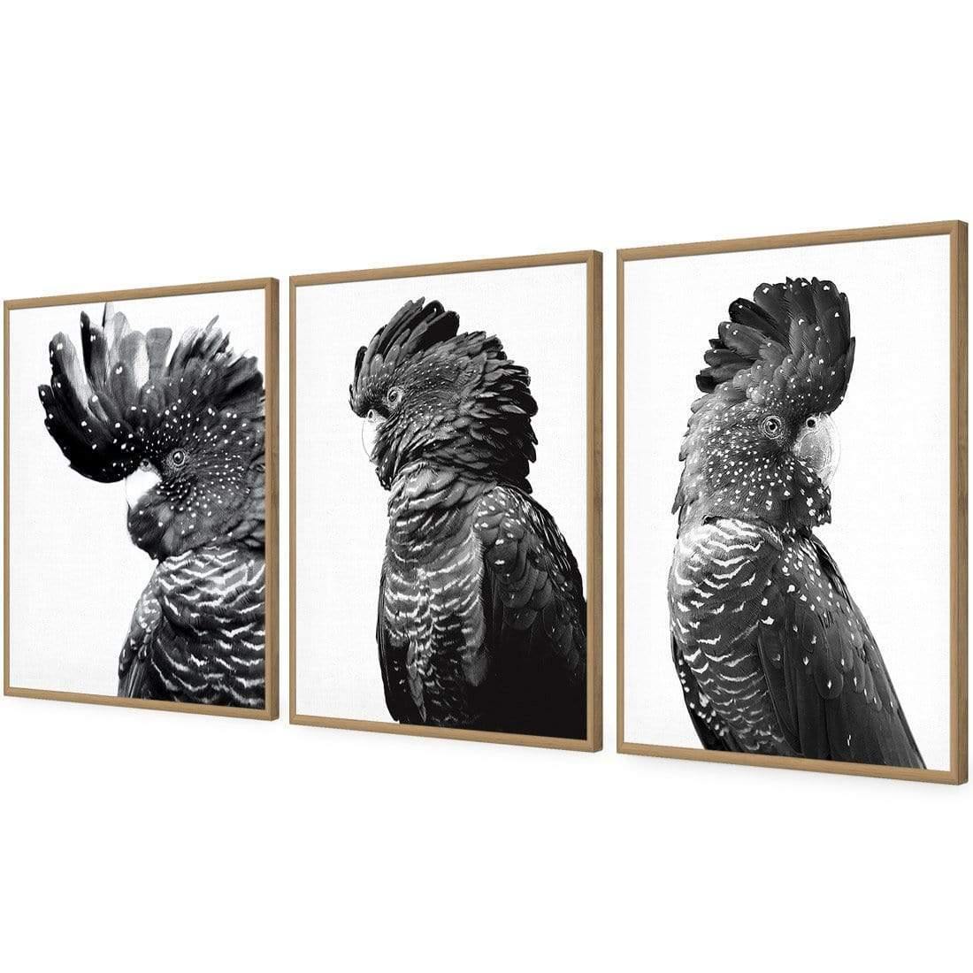 Cockatoos Trio, B&W Art Set