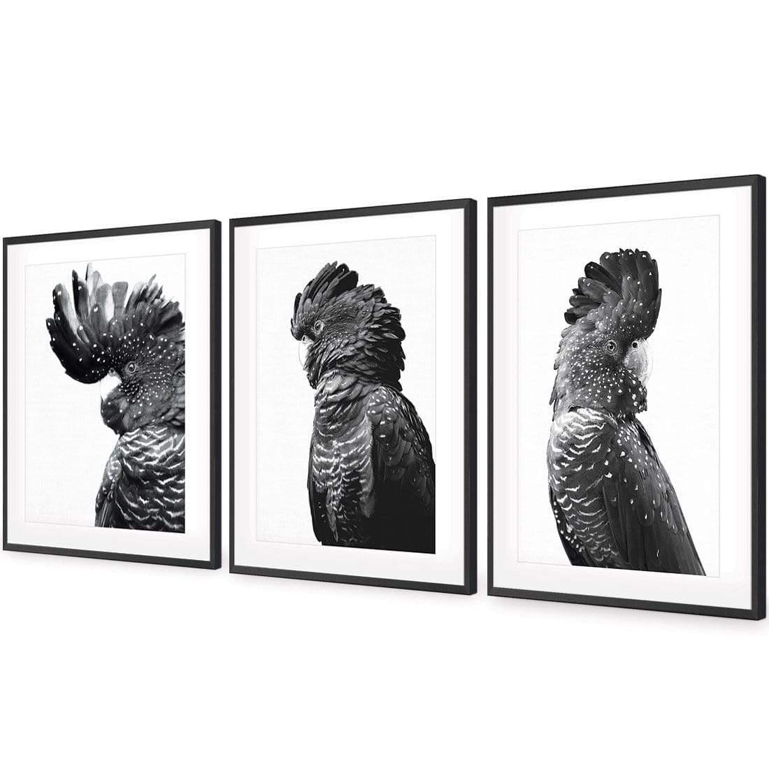 Cockatoos Trio, B&W Art Set