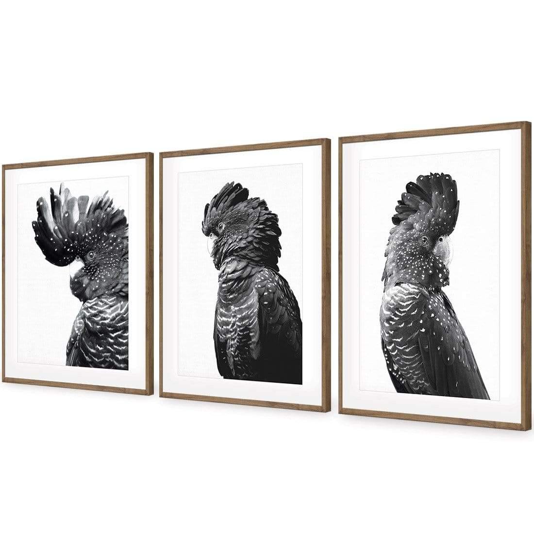 Cockatoos Trio, B&W Art Set