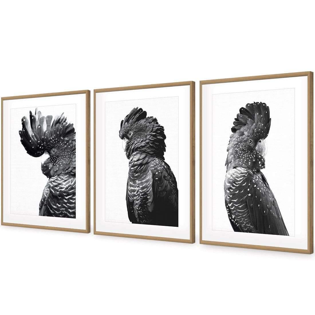 Cockatoos Trio, B&W Art Set