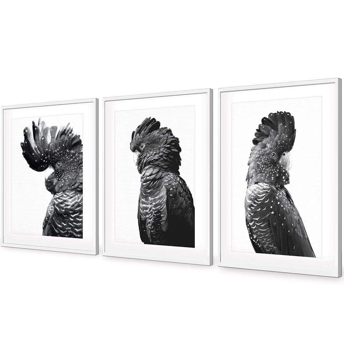 Cockatoos Trio, B&W Art Set
