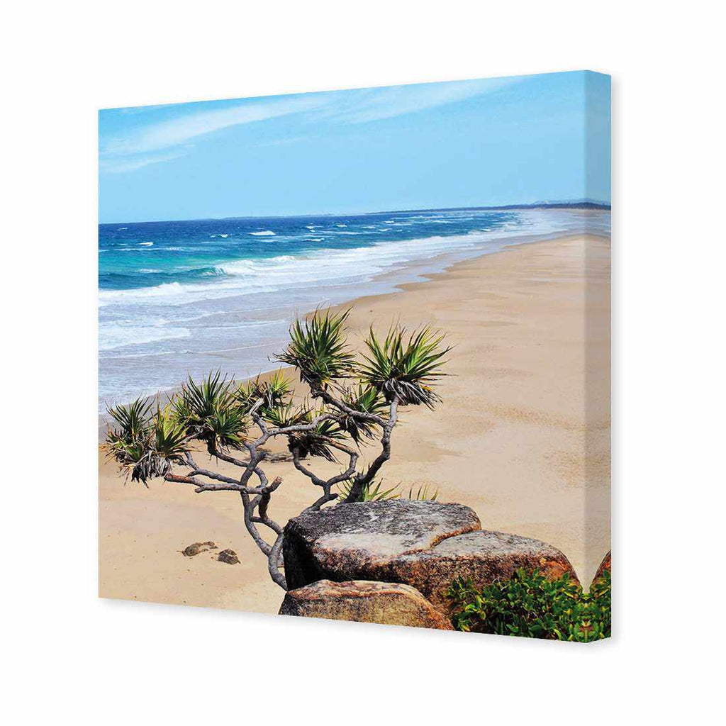 Coolum Beach, Square Canvas Art