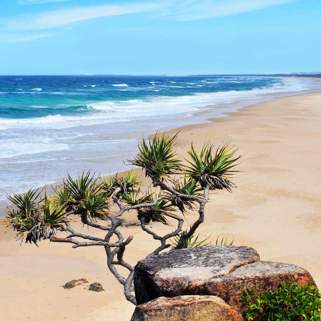 Coolum Beach, Square Canvas Art