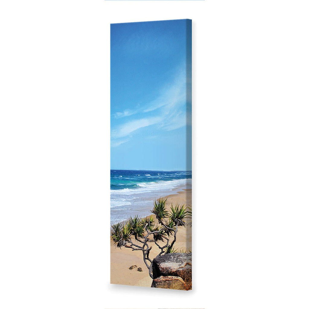 Coolum Beach, tall
