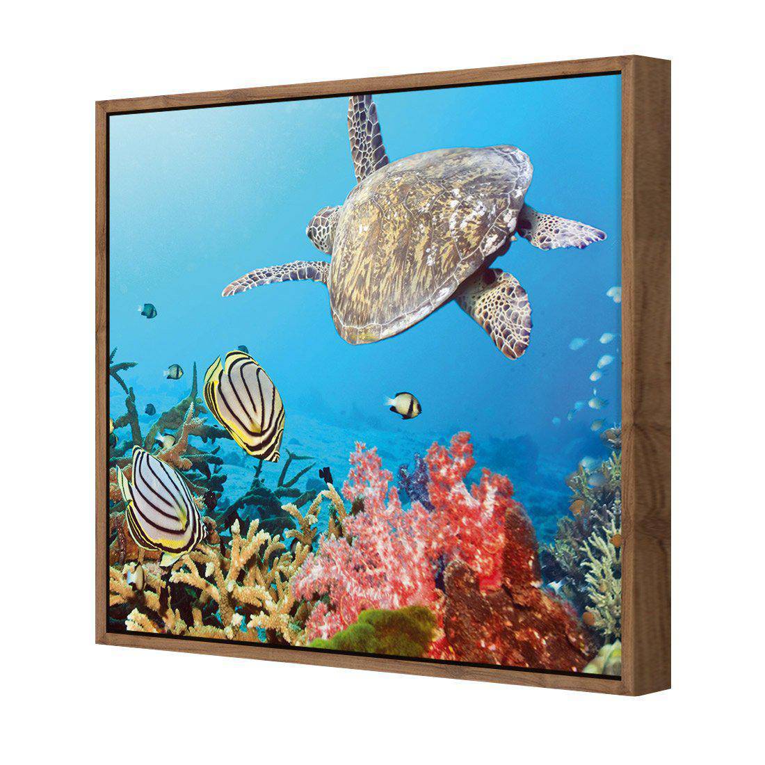 Coral Sea, Square Canvas Art