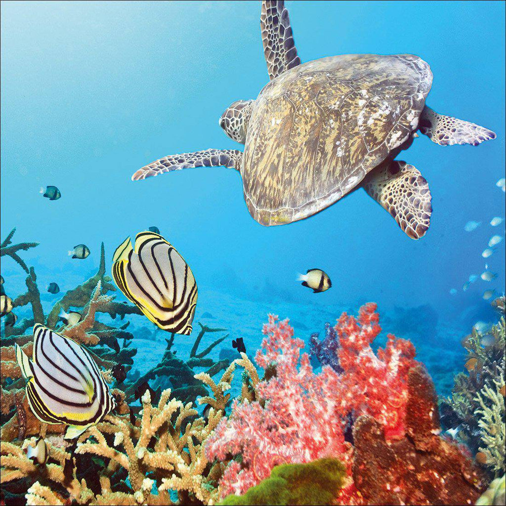 Coral Sea, Square Canvas Art