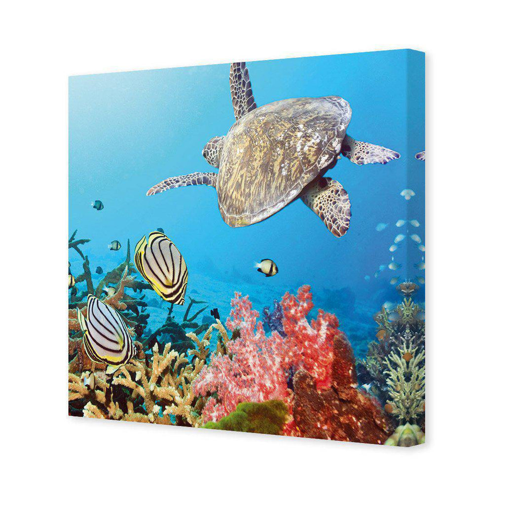 Coral Sea, Square Canvas Art