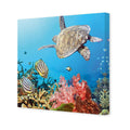 Coral Sea, Square Canvas Art