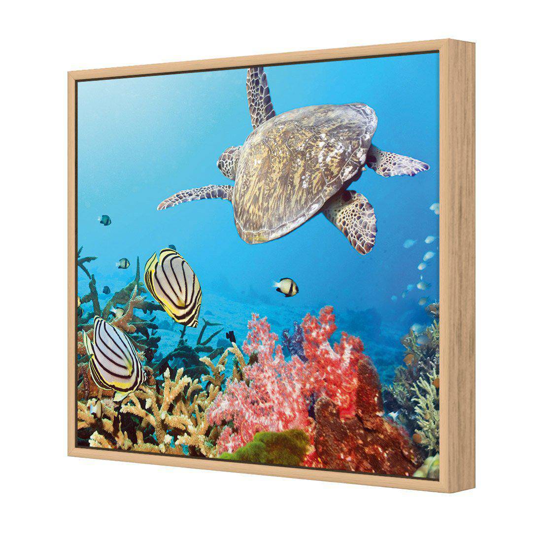 Coral Sea, Square Canvas Art