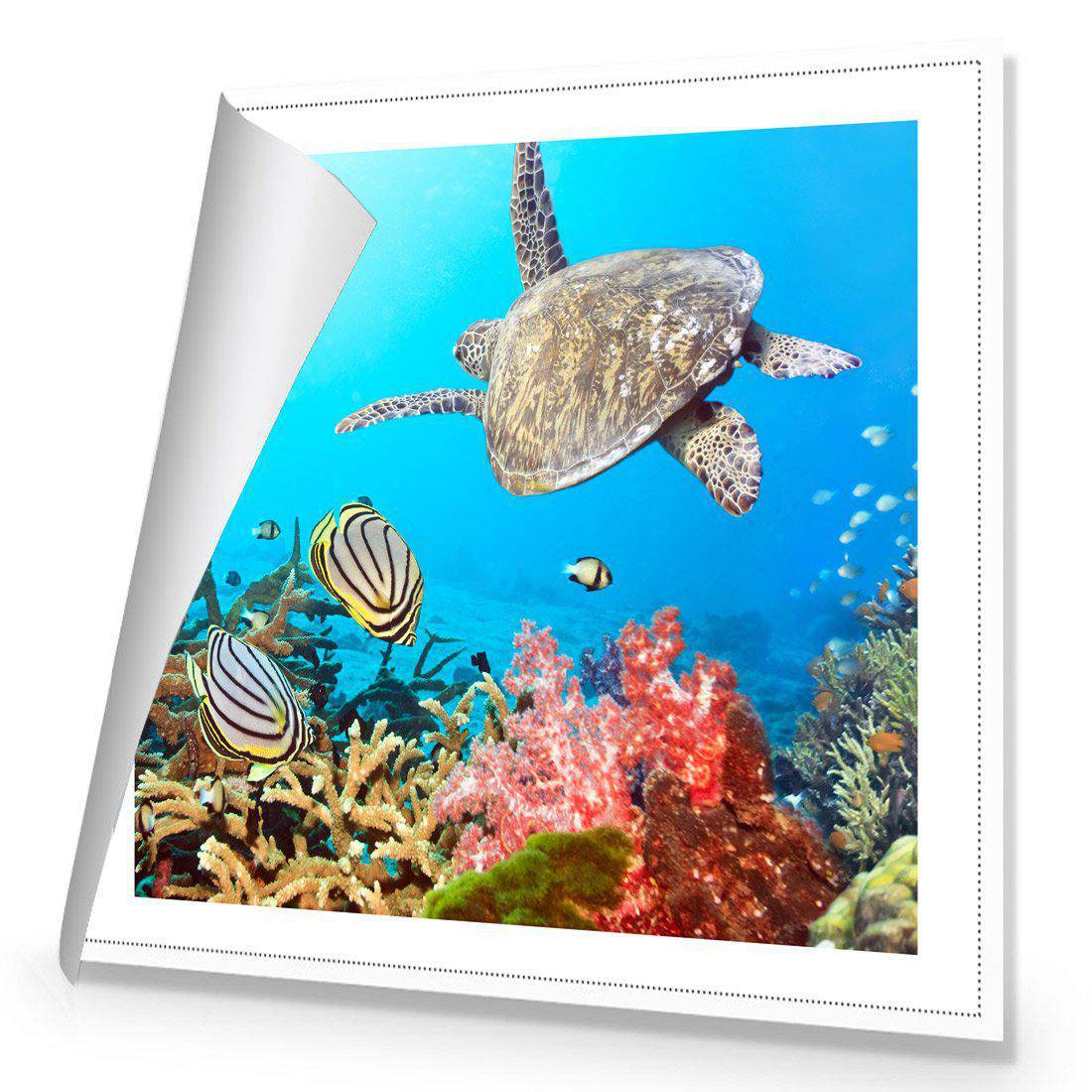 Coral Sea, Square Canvas Art