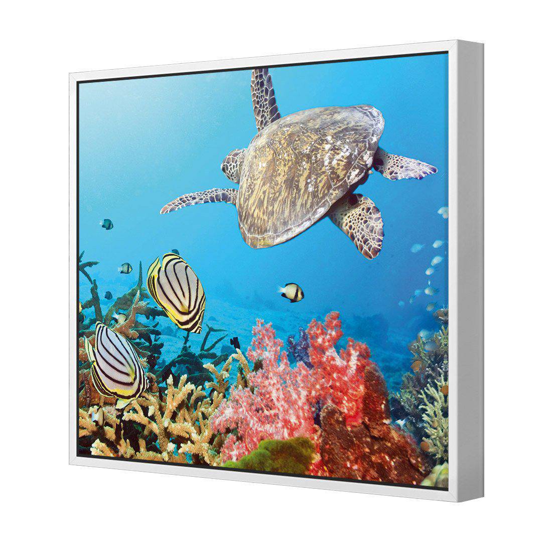 Coral Sea, Square Canvas Art