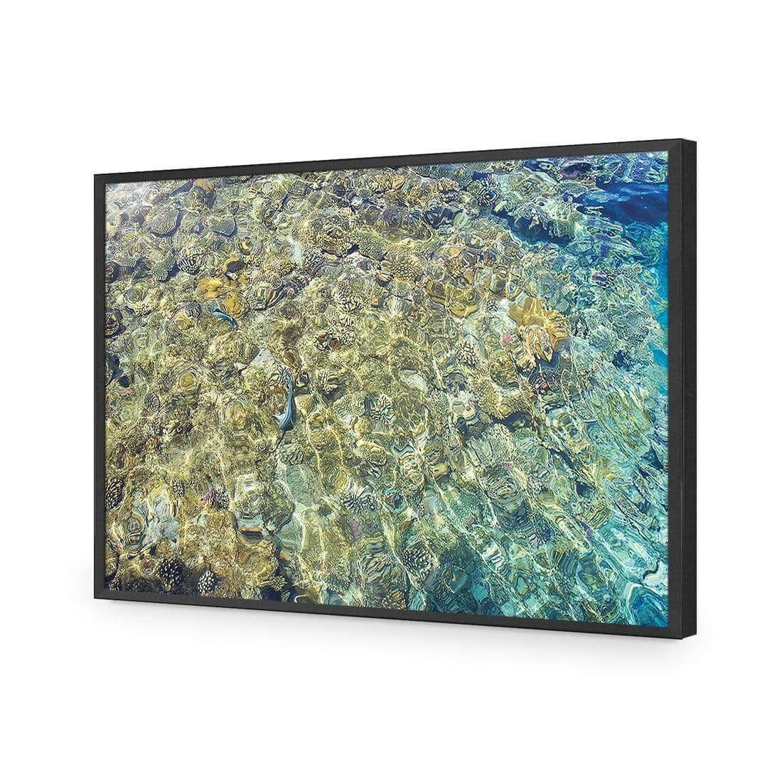 Coral Shallows