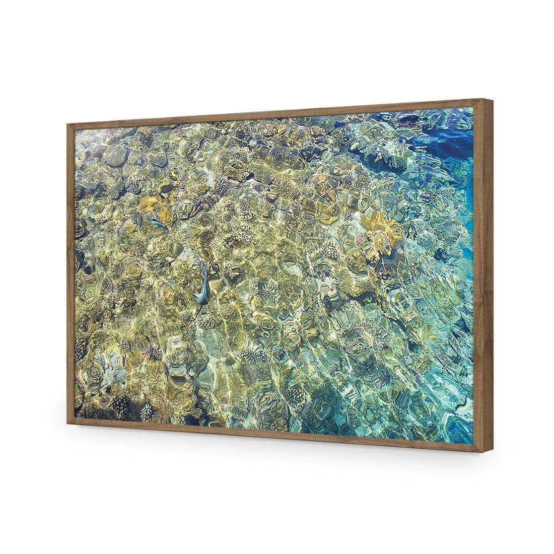 Coral Shallows