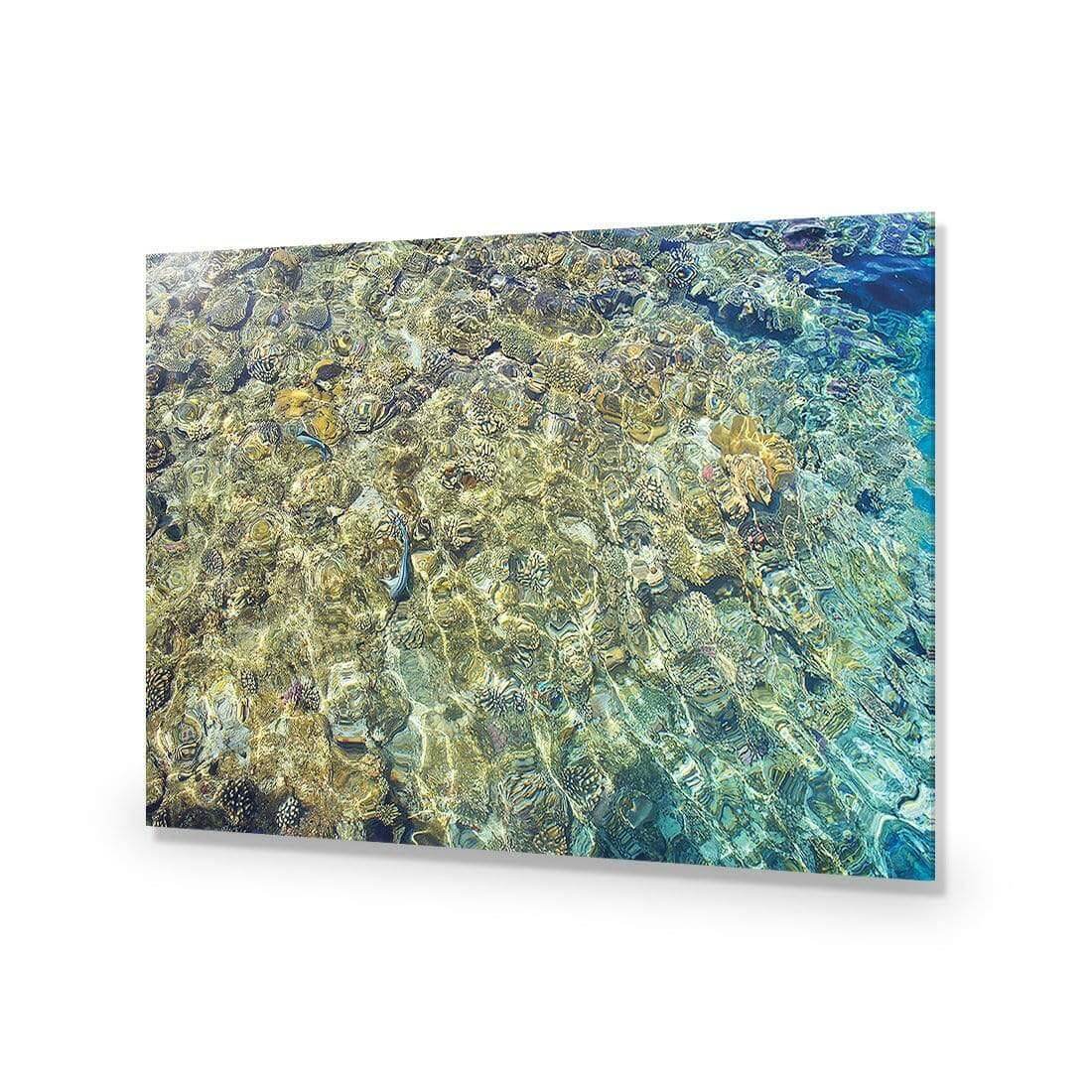 Coral Shallows