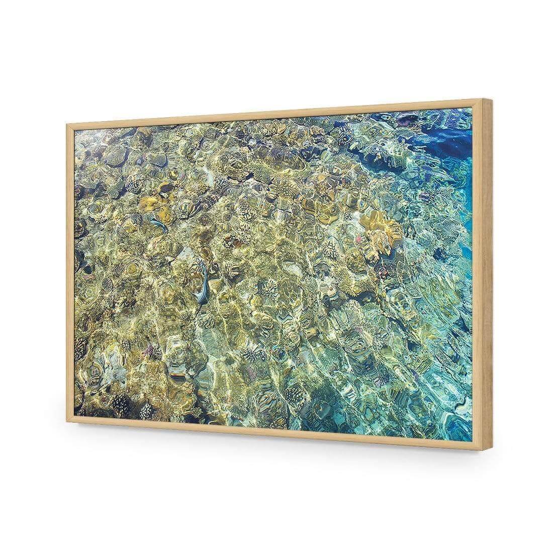 Coral Shallows